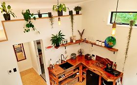 Adventurer'S Chest - Pohutukawa